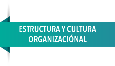 ESTRUCTURA Y CULTURA ORGANIZACIONAL