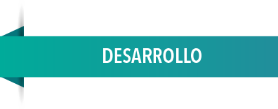 DESARROLLO